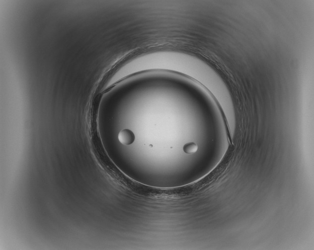 X0000113340444200909221127