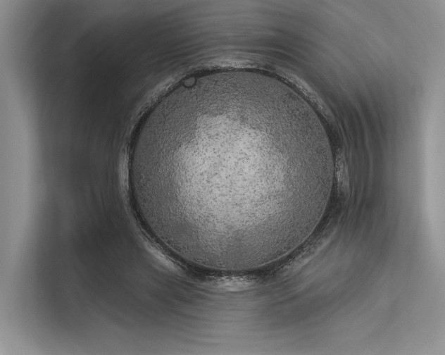 X0000113340445200909221127