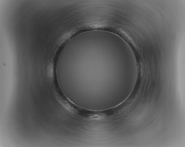 X0000113340447200909221127