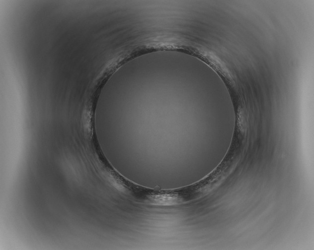 X0000113340449200909221127