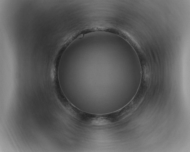 X0000113340451200909221127