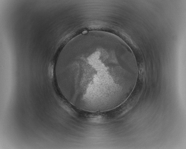 X0000113340454200909221127