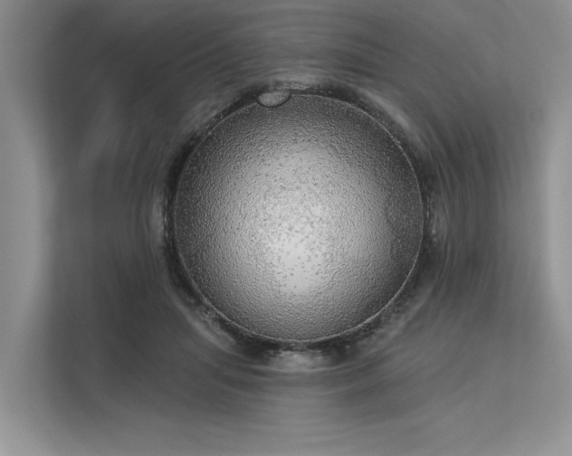 X0000113340455200909221127