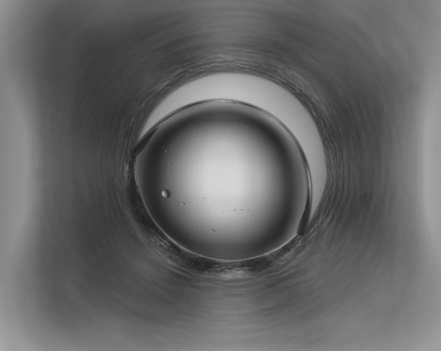 X0000113340456200909221127