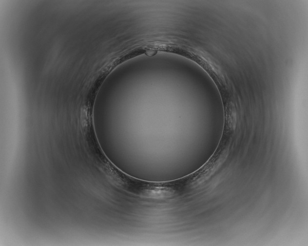 X0000113340467200909221127