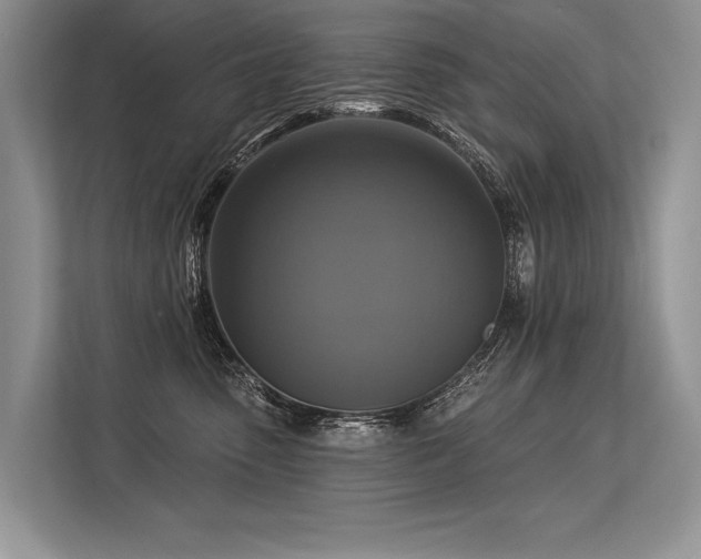 X0000113340475200909221127