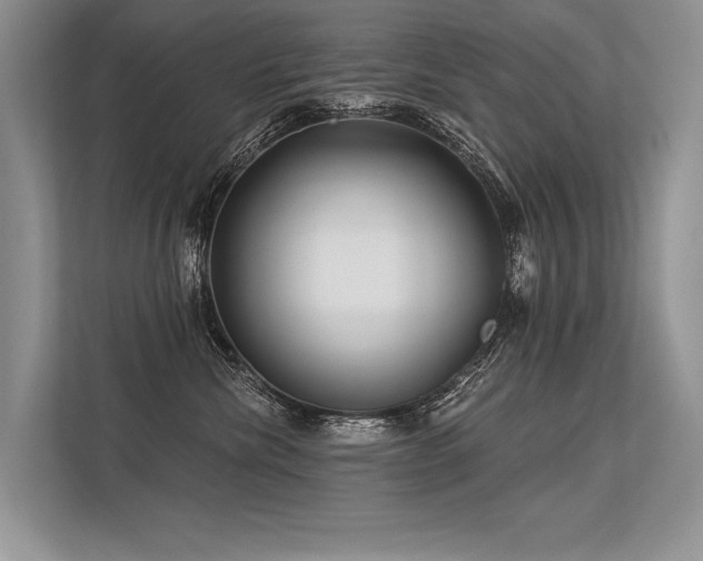 X0000113340476200909221127