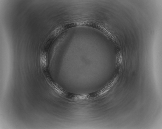 X0000113340479200909221127