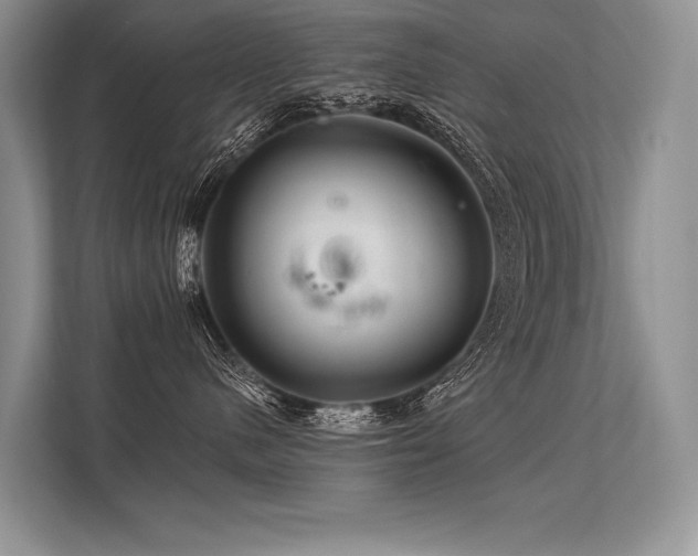 X0000113340480200909221127