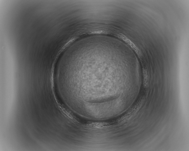 X0000113340482200909221126