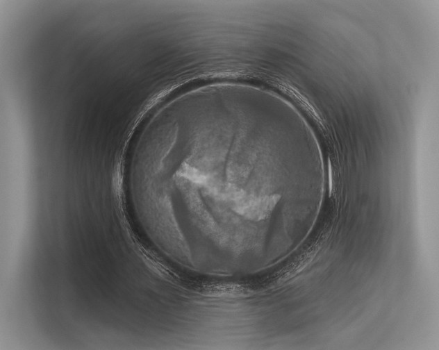 X0000113340483200909221126