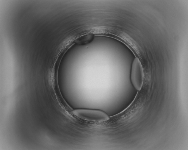 X0000113340485200909221126