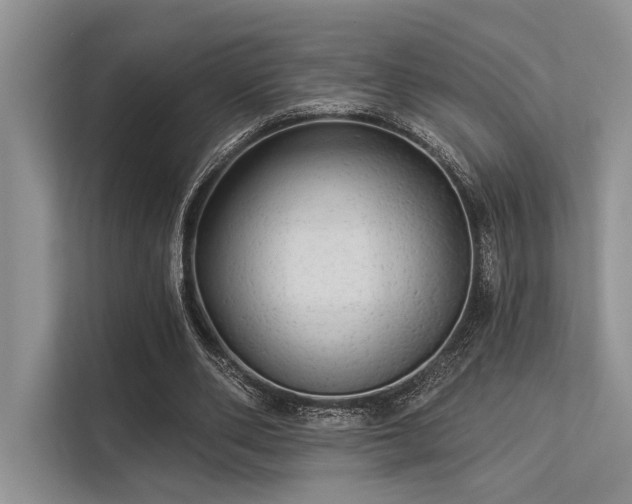 X0000113340486200909221126