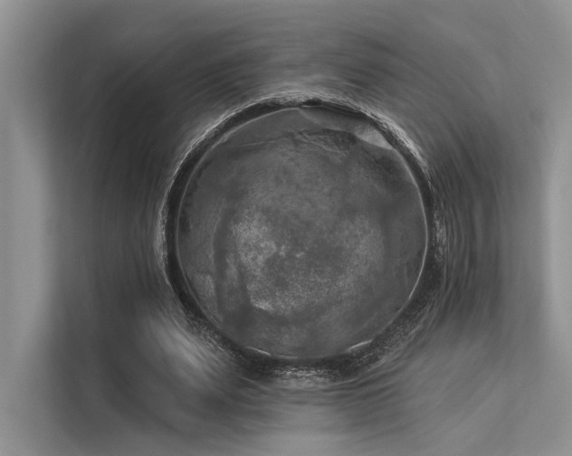 X0000113340487200909221126