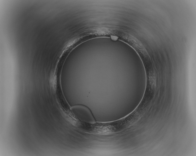 X0000113340488200909221126