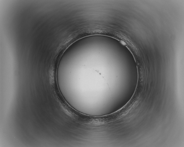 X0000113340489200909221126