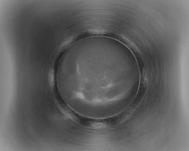 X0000113340494200909221126