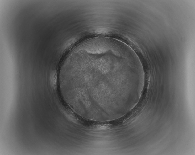 X0000113340495200909221126