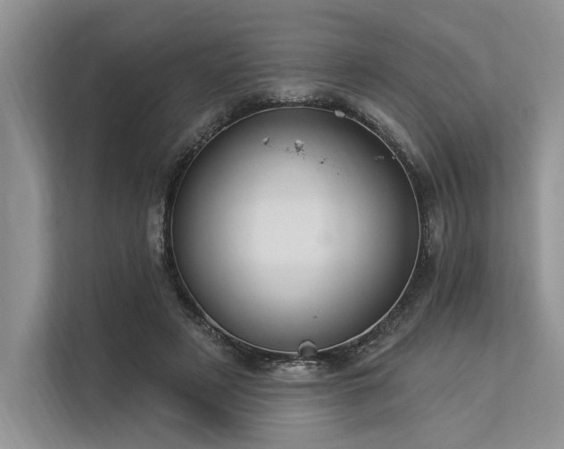 X0000113340497200909221126