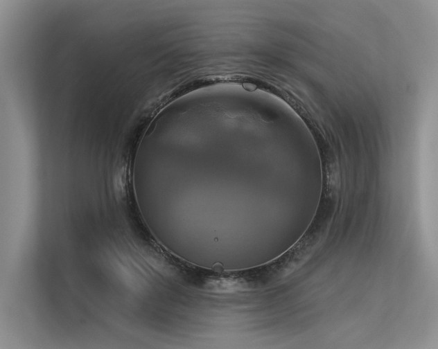 X0000113340503200909221126