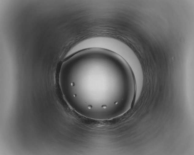 X0000113340504200909221126