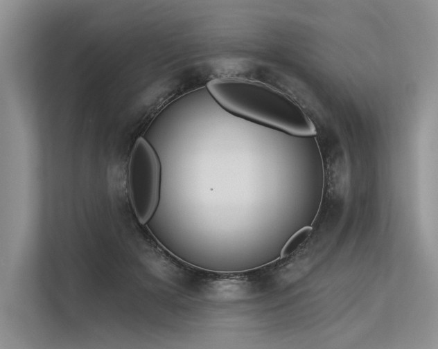 X0000113340505200909221126