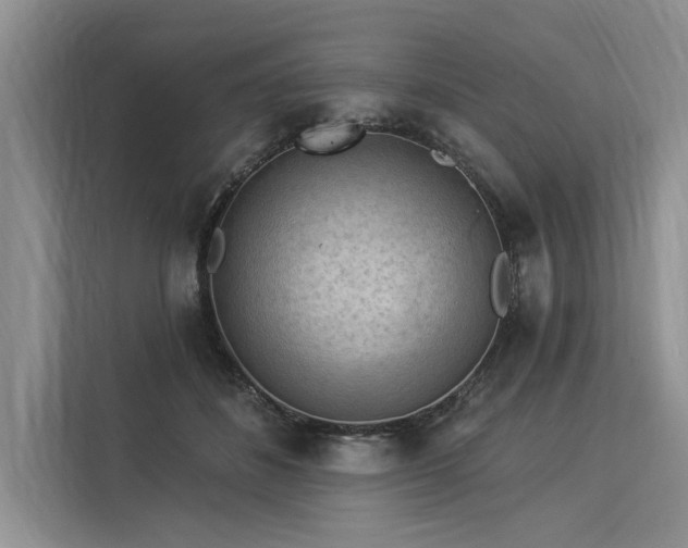 X0000113340508200909221126