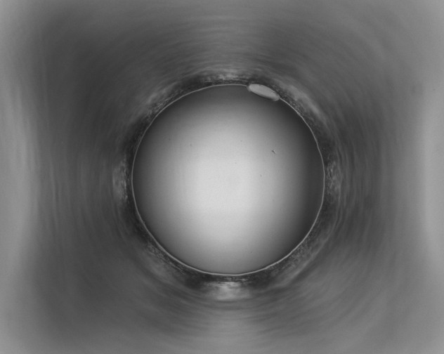 X0000113340509200909221126