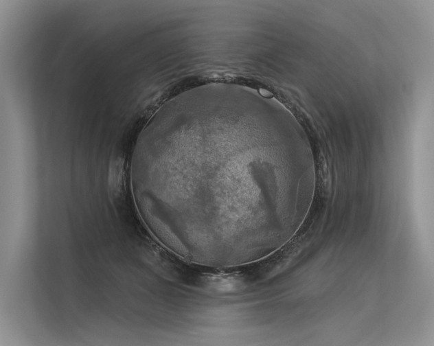 X0000113340511200909221126