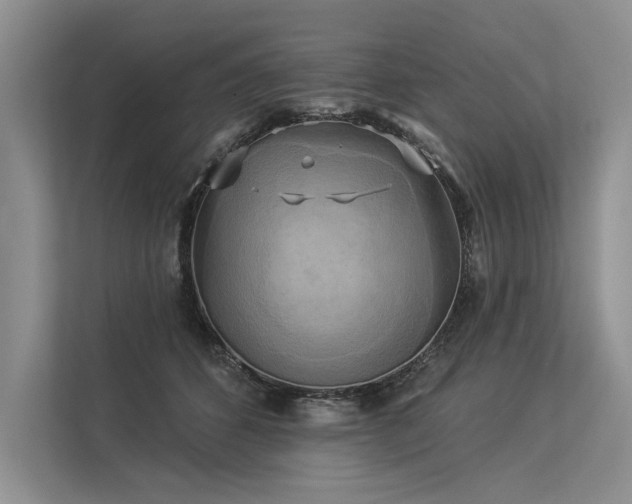 X0000113340512200909221126