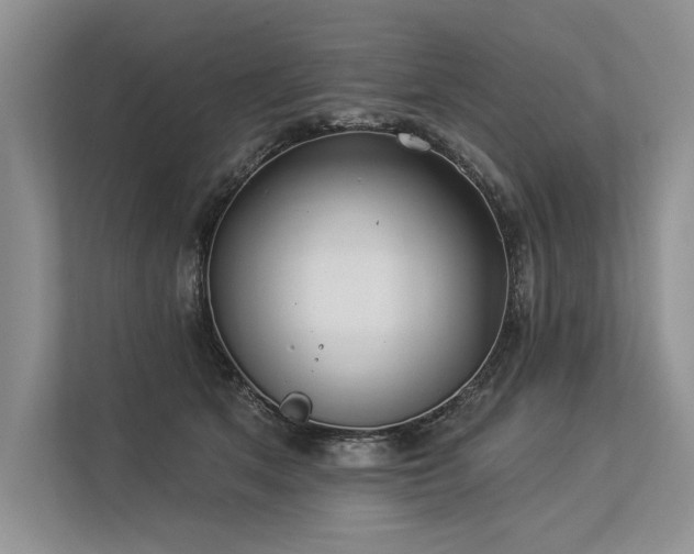 X0000113340513200909221126