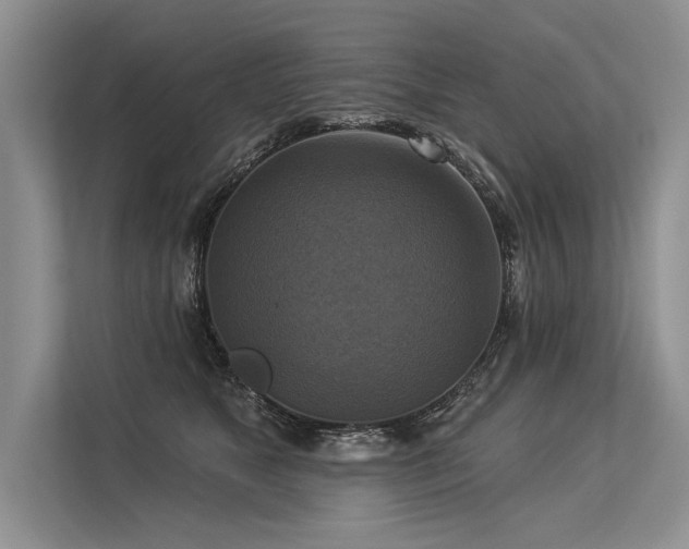 X0000113340517200909221126