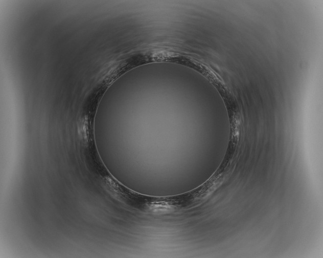 X0000113340519200909221126