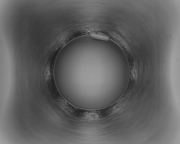 X0000113340520200909221126