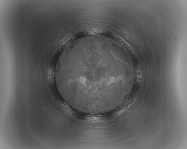 X0000113340523200909221126