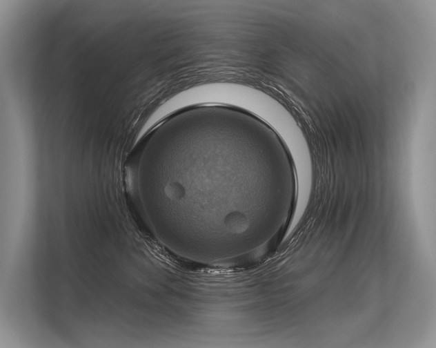 X0000113340524200909221126