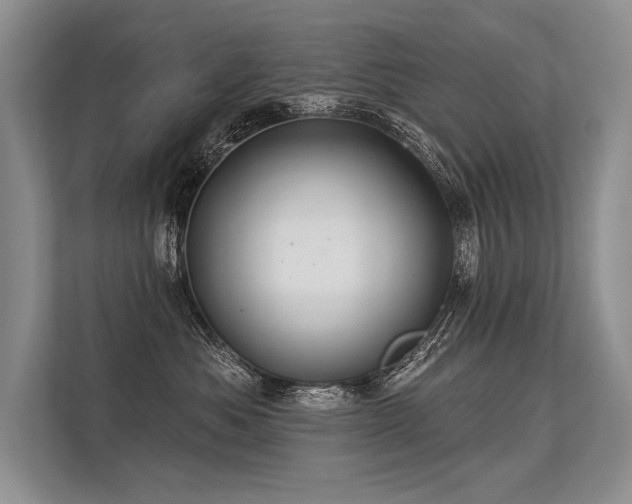 X0000113340525200909221126