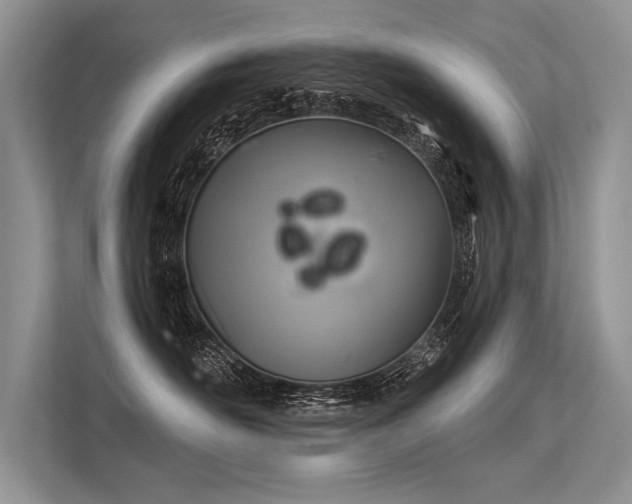 X0000113340526200909221126