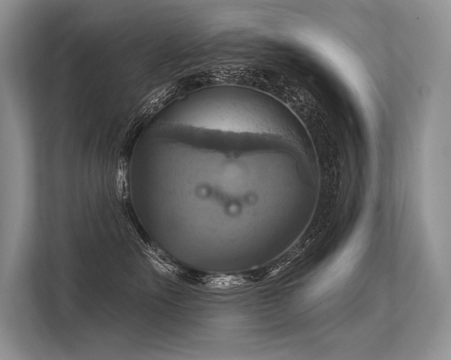 X0000113340527200909221126