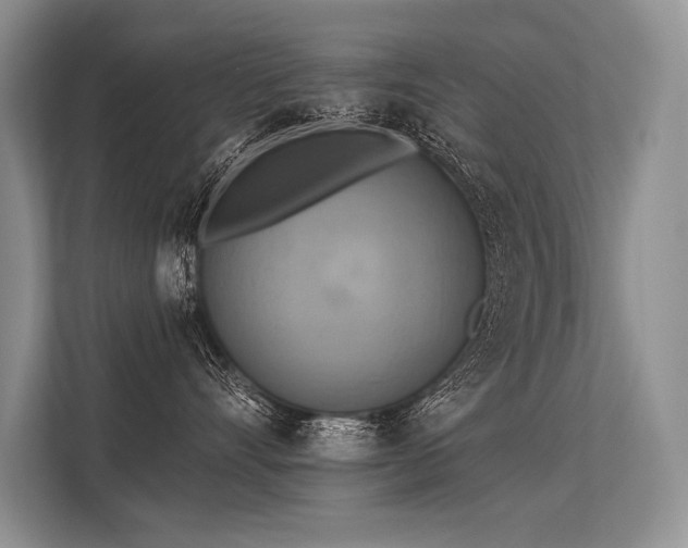 X0000113340528200909221126