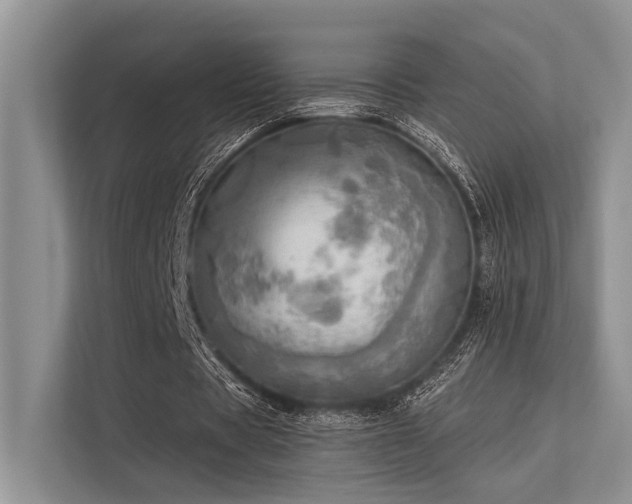 X0000113340529200909221125