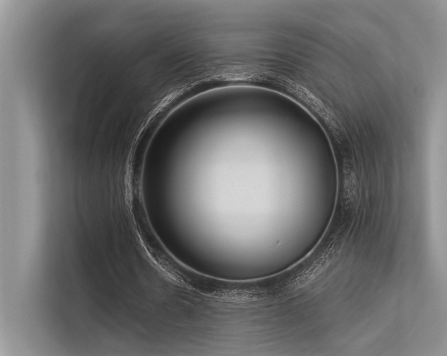 X0000113340530200909221125