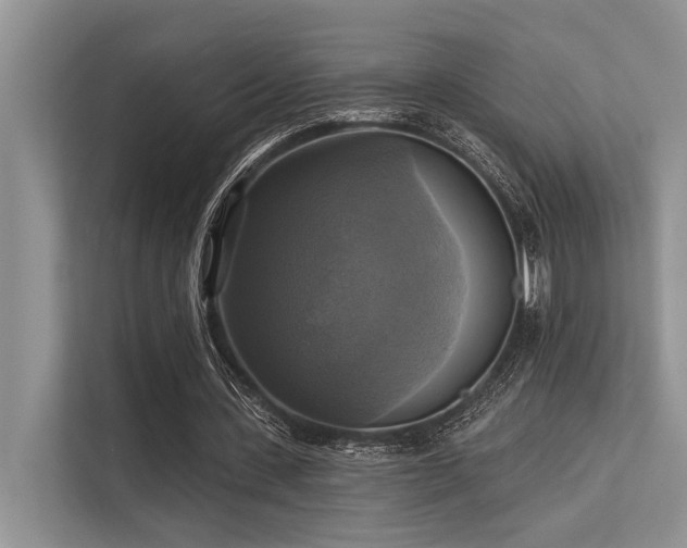 X0000113340531200909221125