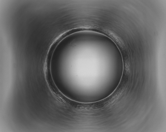 X0000113340532200909221125