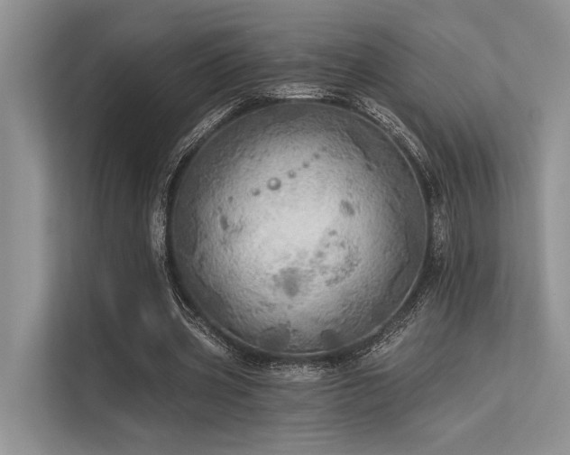 X0000113340533200909221125