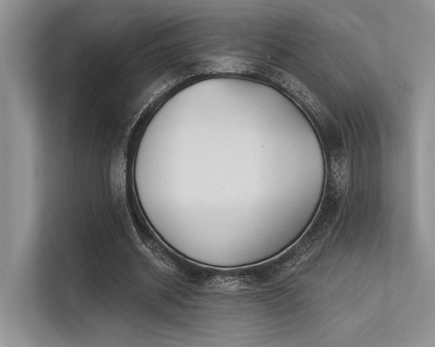 X0000113340534200909221125