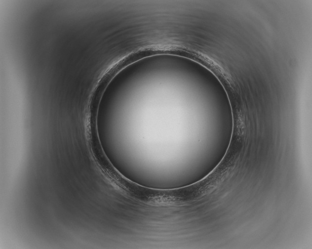 X0000113340535200909221125