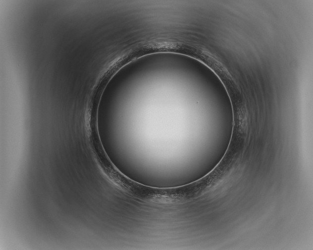 X0000113340538200909221125