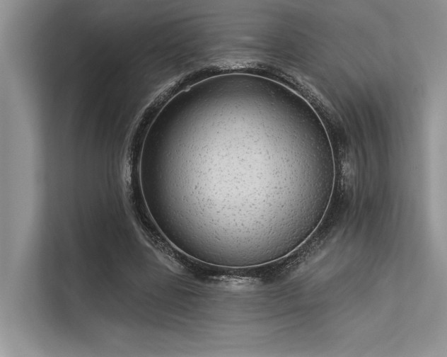 X0000113340539200909221125