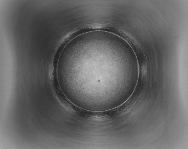 X0000113340540200909221125